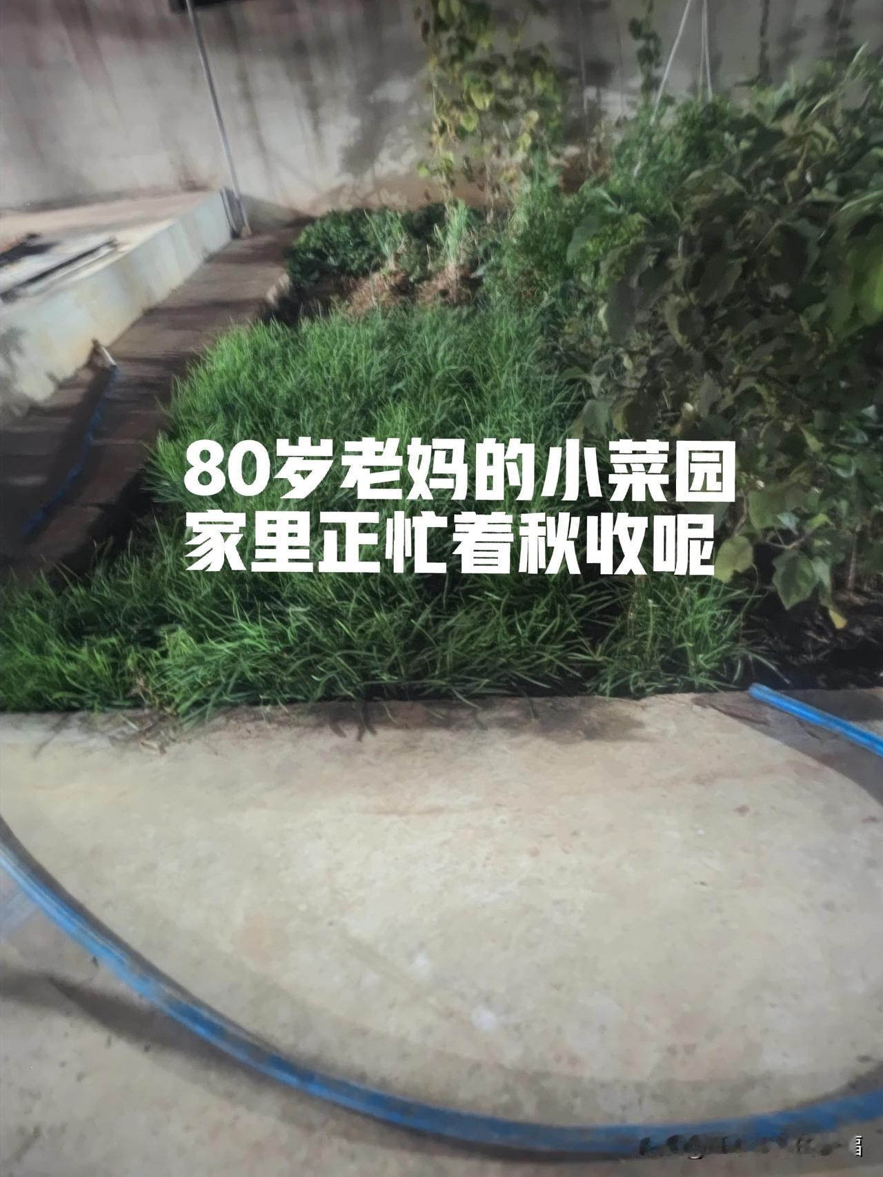远嫁的我只能视视频，放假的时候带着孩子回去看看他们，帮不上什么忙，心里想想还是有