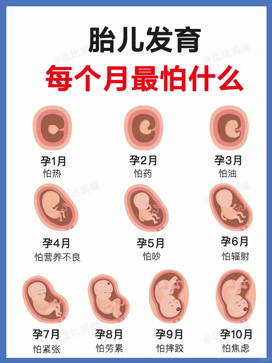 胎儿每月最怕什么你知道吗❓一篇看懂❗️