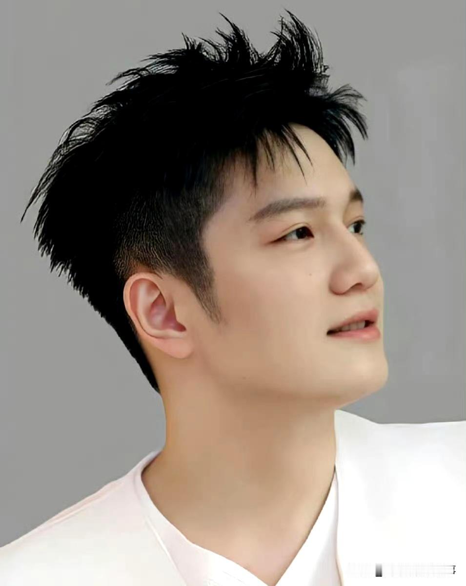 樊振东的“未兑现承诺”：是遗憾，更是清醒
 
十年前18岁的樊振东说“2025年