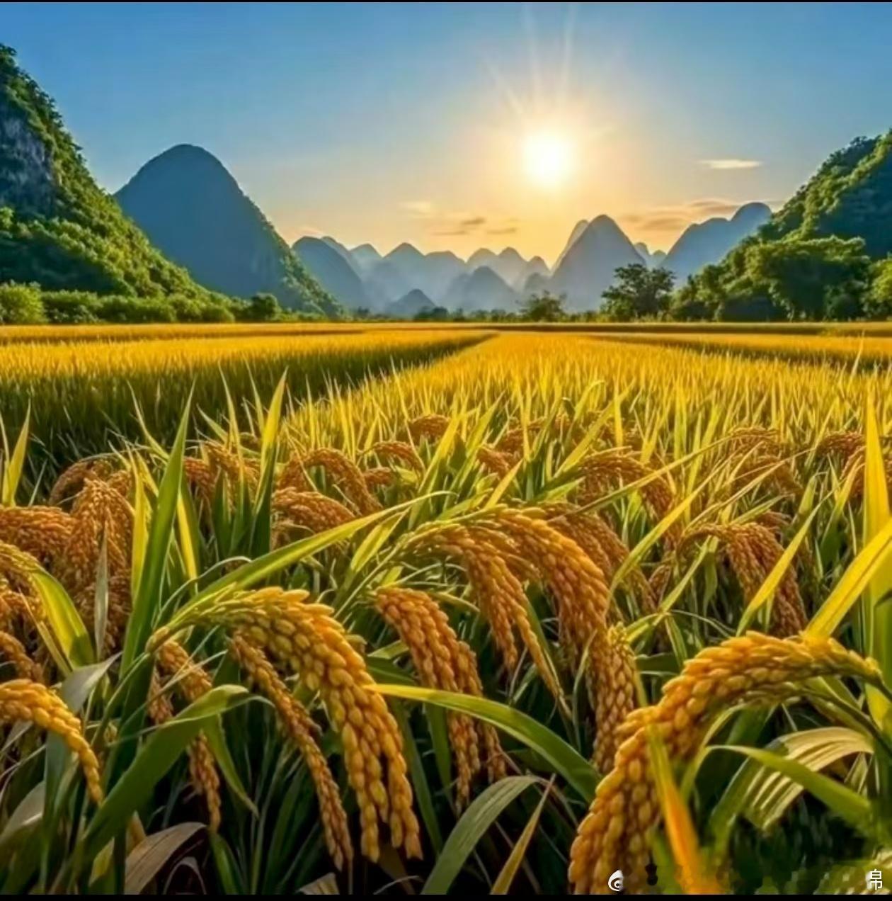 万般皆因果，诸事有轮回。我们遇见的人，经历的事，都不是偶然。不要抱着侥幸去伤害，