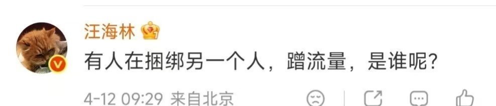 不用想了，就那谁 汪海林说有人捆绑蹭流量