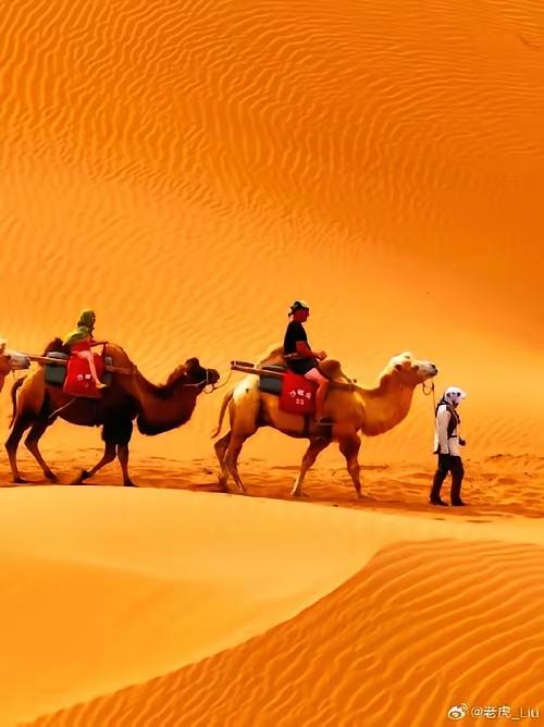 掏心窝子的一句话：
 
“不管和谁相处，你可以善良，可以心软，可以重情，可以念旧