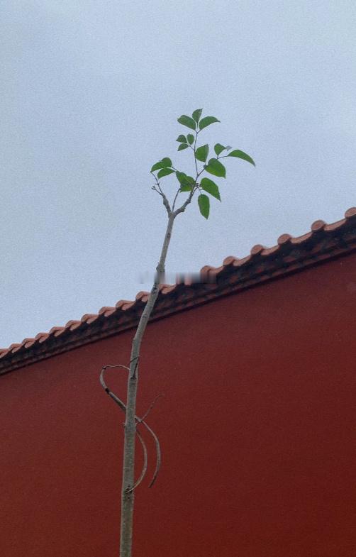 世间所有福报，皆由平日点滴善念慈悲积淀而成🙏真心行善从无虚耗，因果轮回自有回应