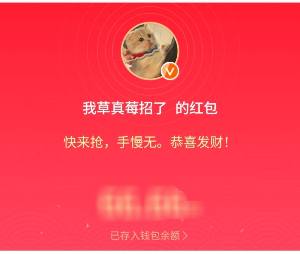 专注家杀红稿