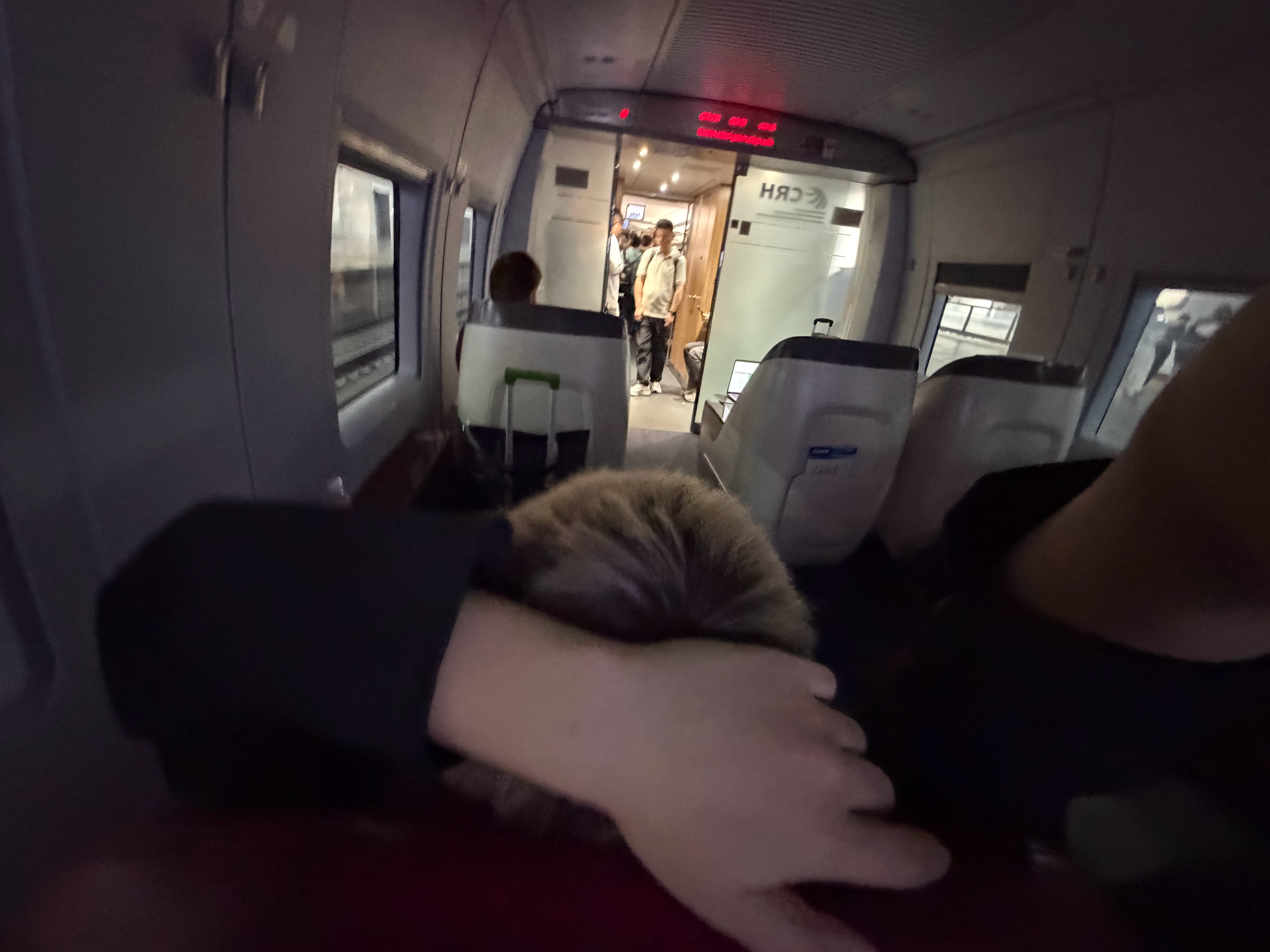 姐妹们这好像是商务舱吧！ 