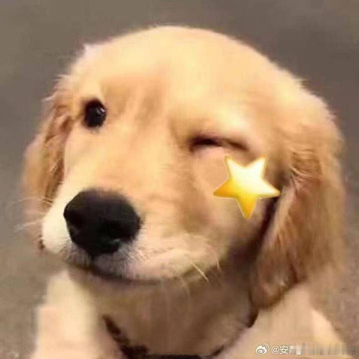 邓亚萍称日乒亚运表现明显高过其它队日乒新生代这批选手准备充分，亚运打出不少精彩对