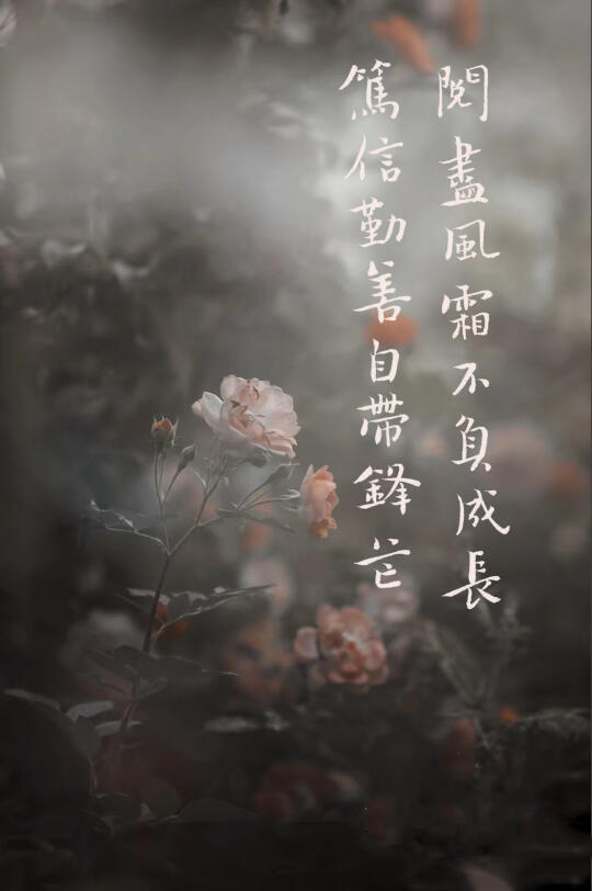 喜欢那一句，我的女神？