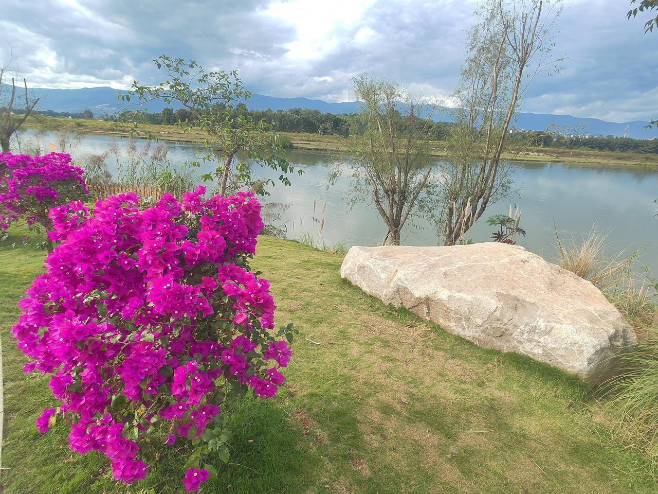 分享一张我自拍的家乡江水风景美照。清晨漫步江边，阳光清洒，像已醒透的梦。江水缓缓