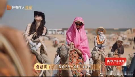 陈数骑骆驼也能找到节奏 在骆驼颠簸的过程中，陈数不但稳如雕像，还能巧妙地与龚俊分