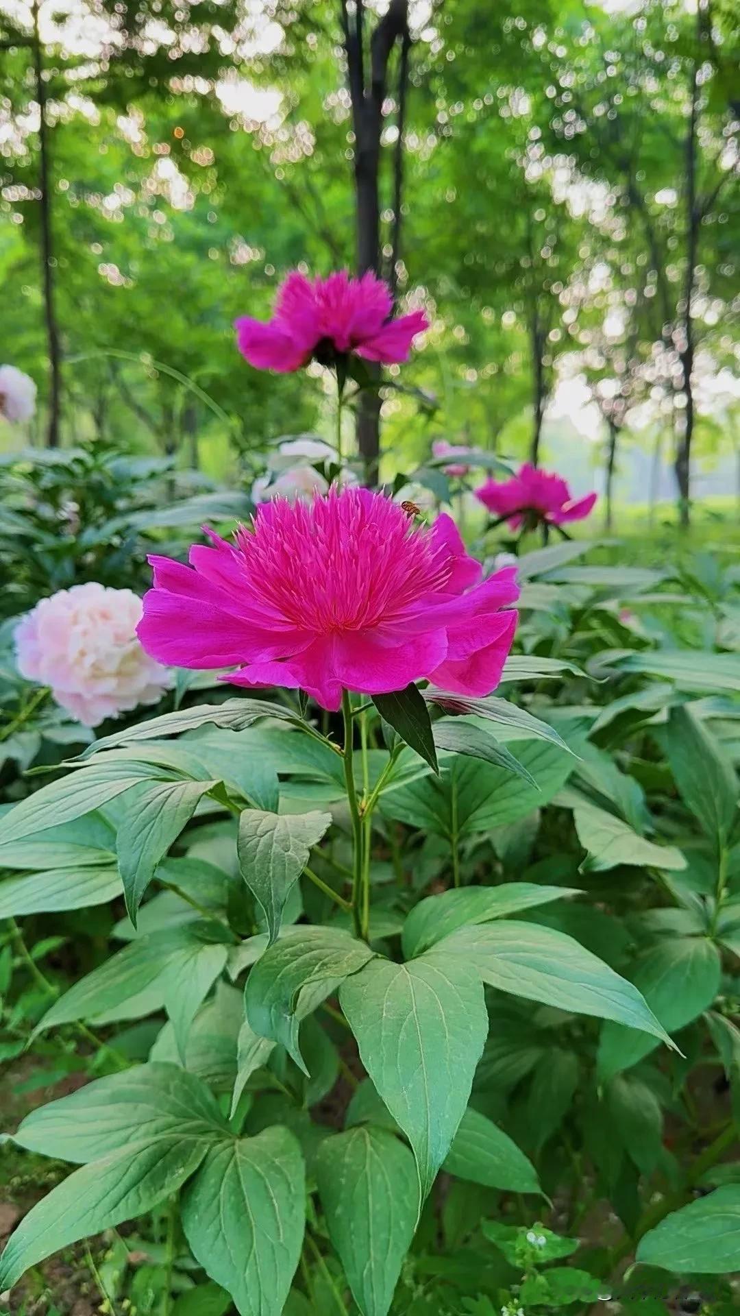 悲观者全对，积极者前行
 
当下时代，焦虑与迷茫无处不在，太多人习惯观望审视、预