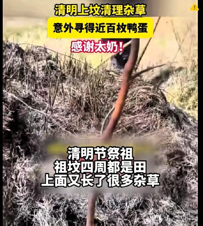 清明扫墓还能捡“天降福利”？
江西这家人的经历也太让人羡慕了！
 
江西九江冷先