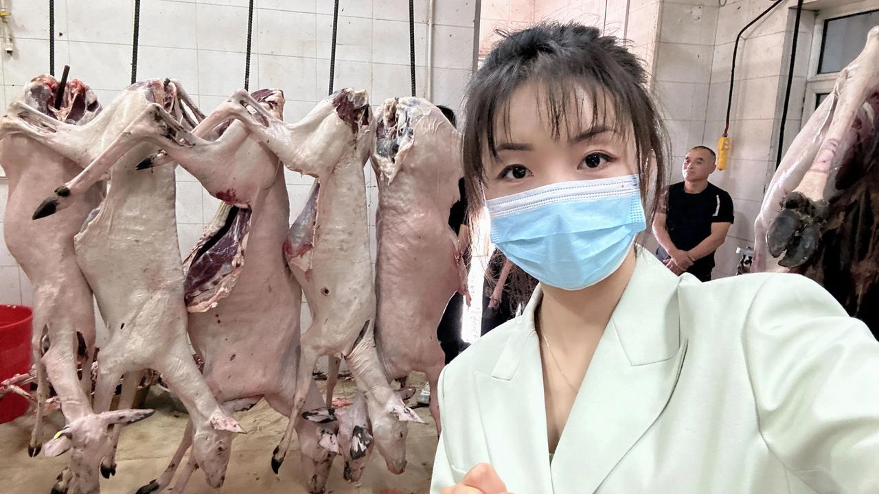 梅花鹿鹿肉 肉质鲜嫩 秋冬吃鹿肉滋补最佳 
做法多样老少皆宜  补肾吃什么比较好
