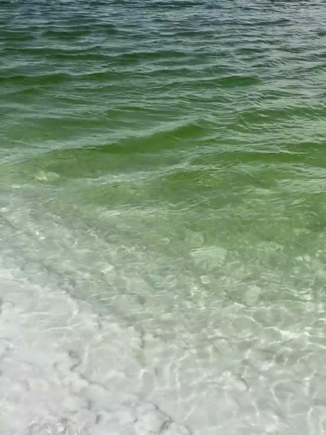 关于学术态度。
不要做烈士，不要做勇士，严格站在学术立场写作。
学术不是为特定意