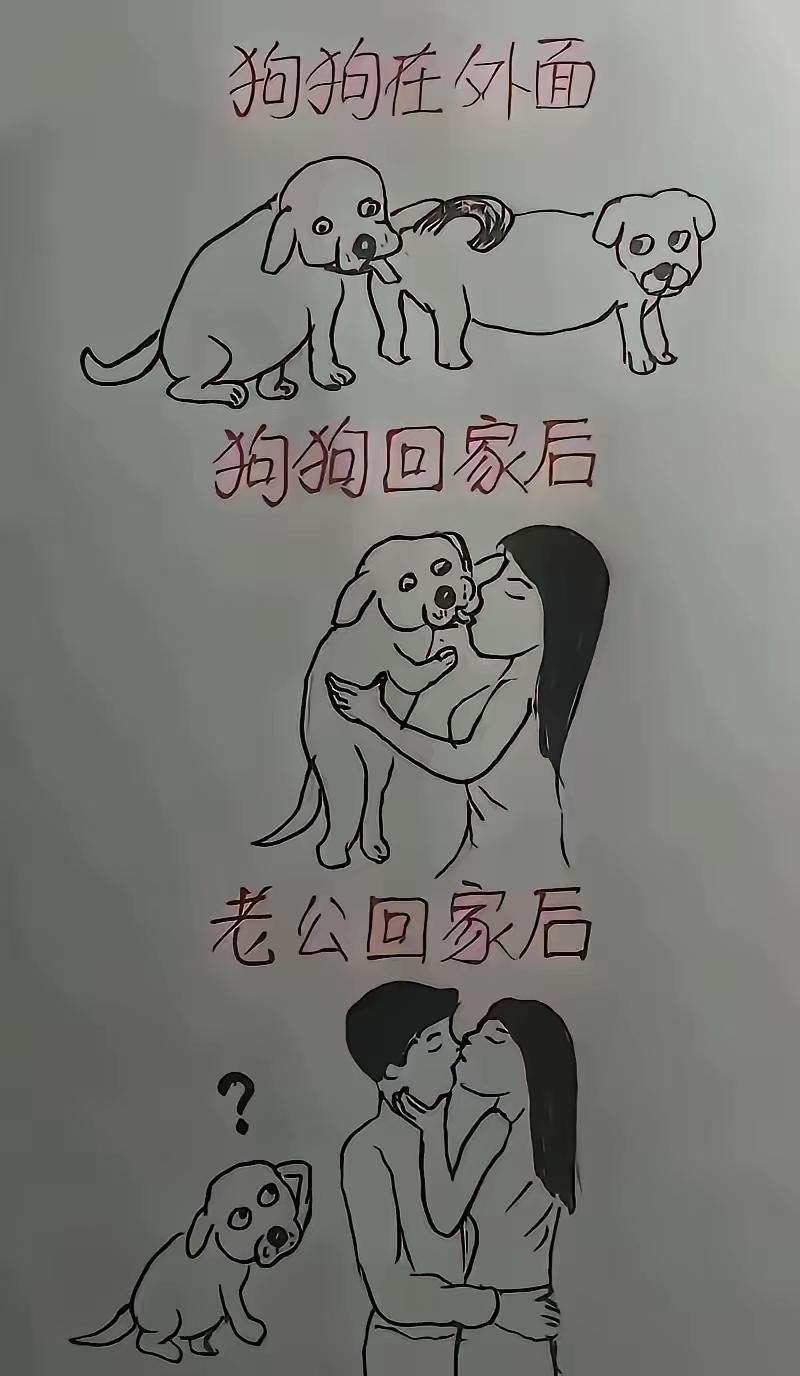 养小狗的注意！别动不动就贴脸[微笑]