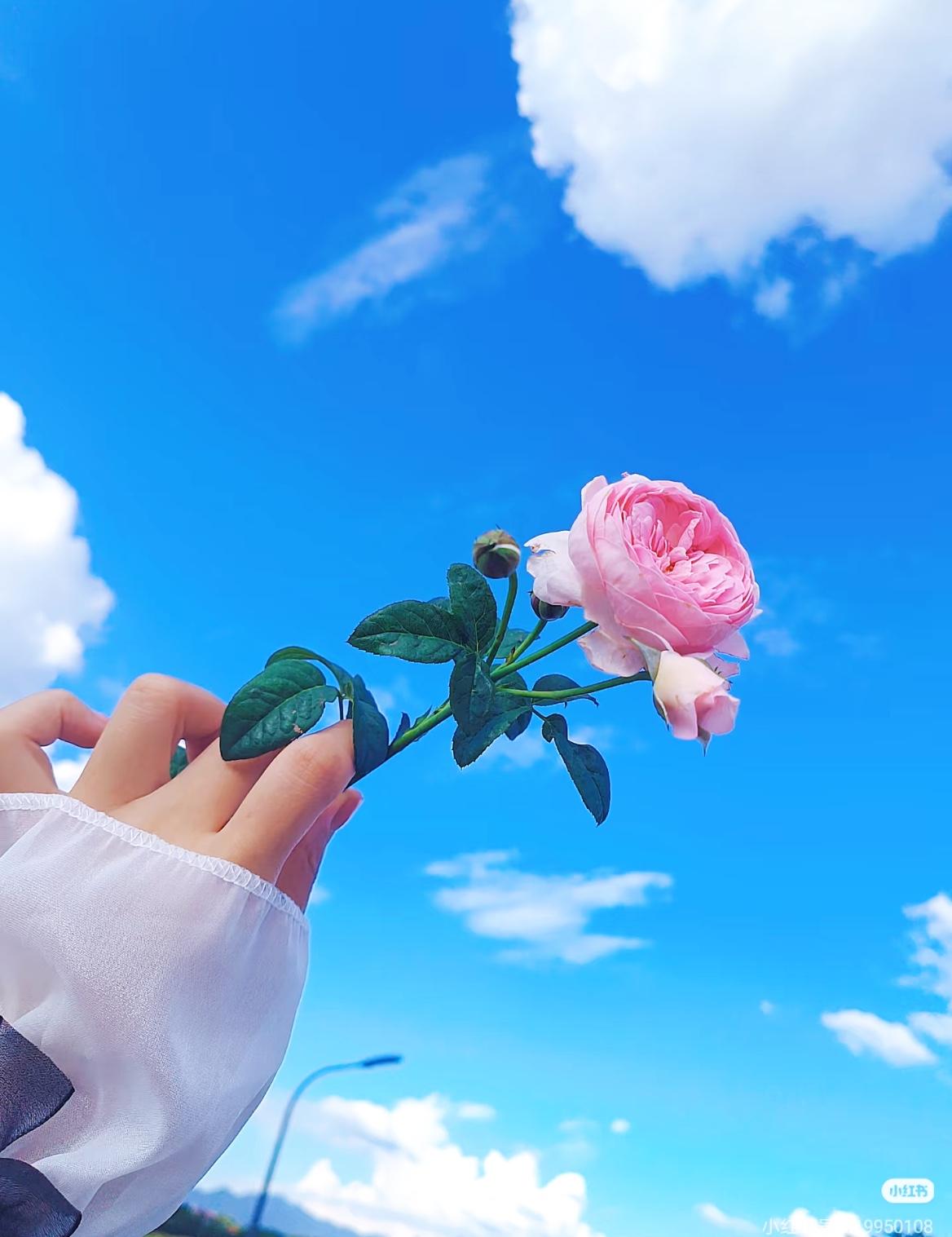 一个人最好的状态
其实就是：看着老实巴交，心里谁也不服，看着随和好说话，其实谁也