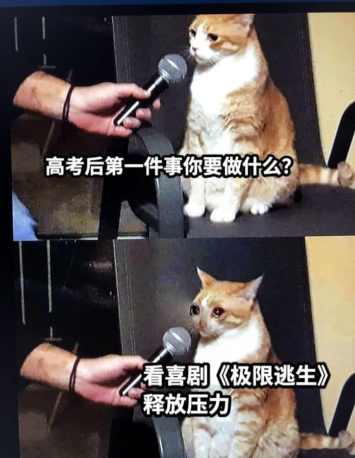 看喜剧泪目算成年人的闯关吗谁不是一边狼狈一边奋力逃生 笑着观影却忍不住落泪，成年