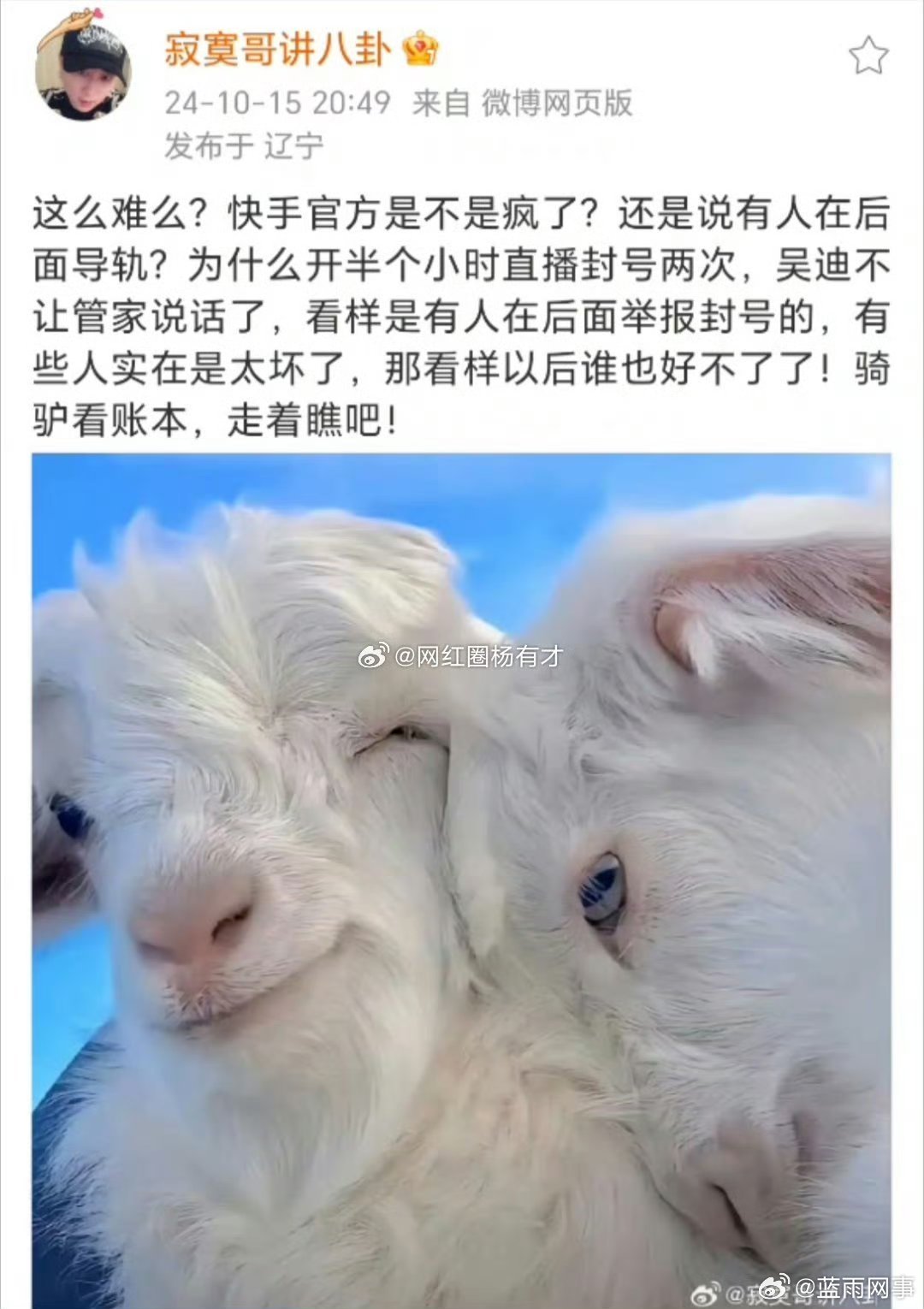寂寞怀疑仙洋发声频繁被封号是后面有人搞鬼，有些人太坏了，以后谁也好不了，走着瞧！