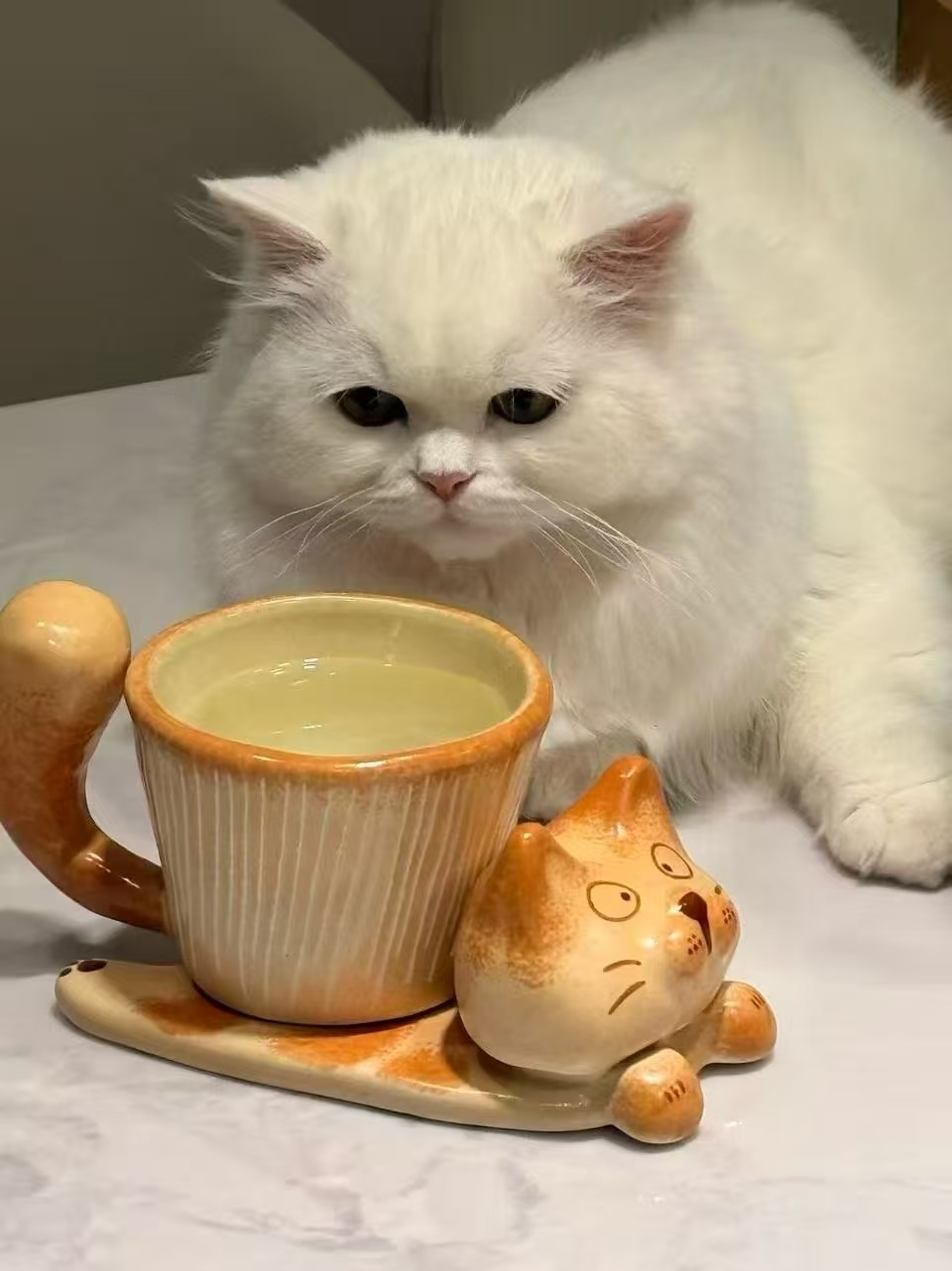 这个小咪可爱吧～ ​​​