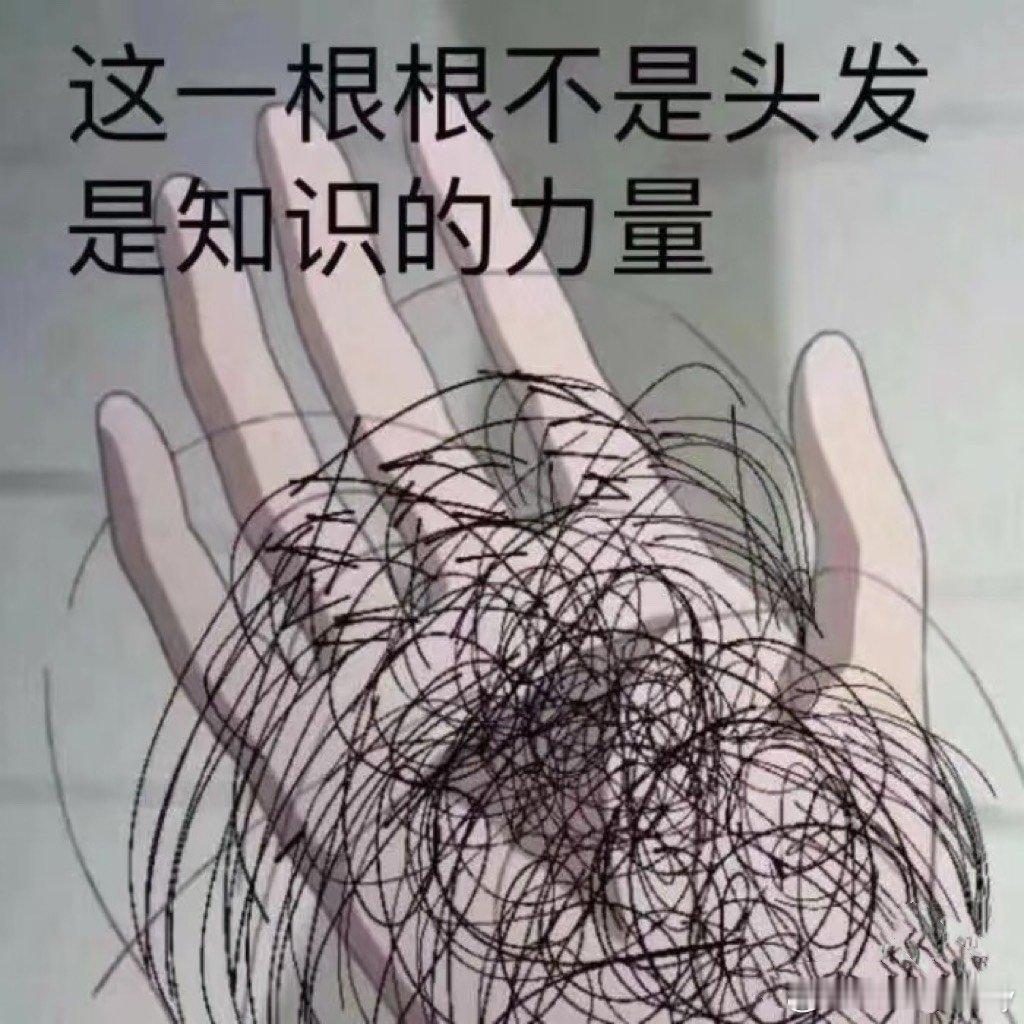法学人来了，法学人露个脸又去背法条了～ 