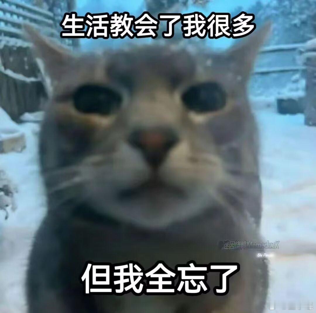 是 ​​​