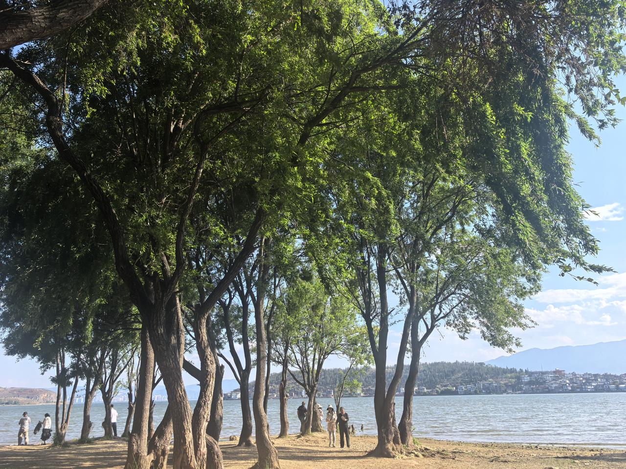 真正的区别在于：活着是被动的状态，生活是主动的参与和感受。