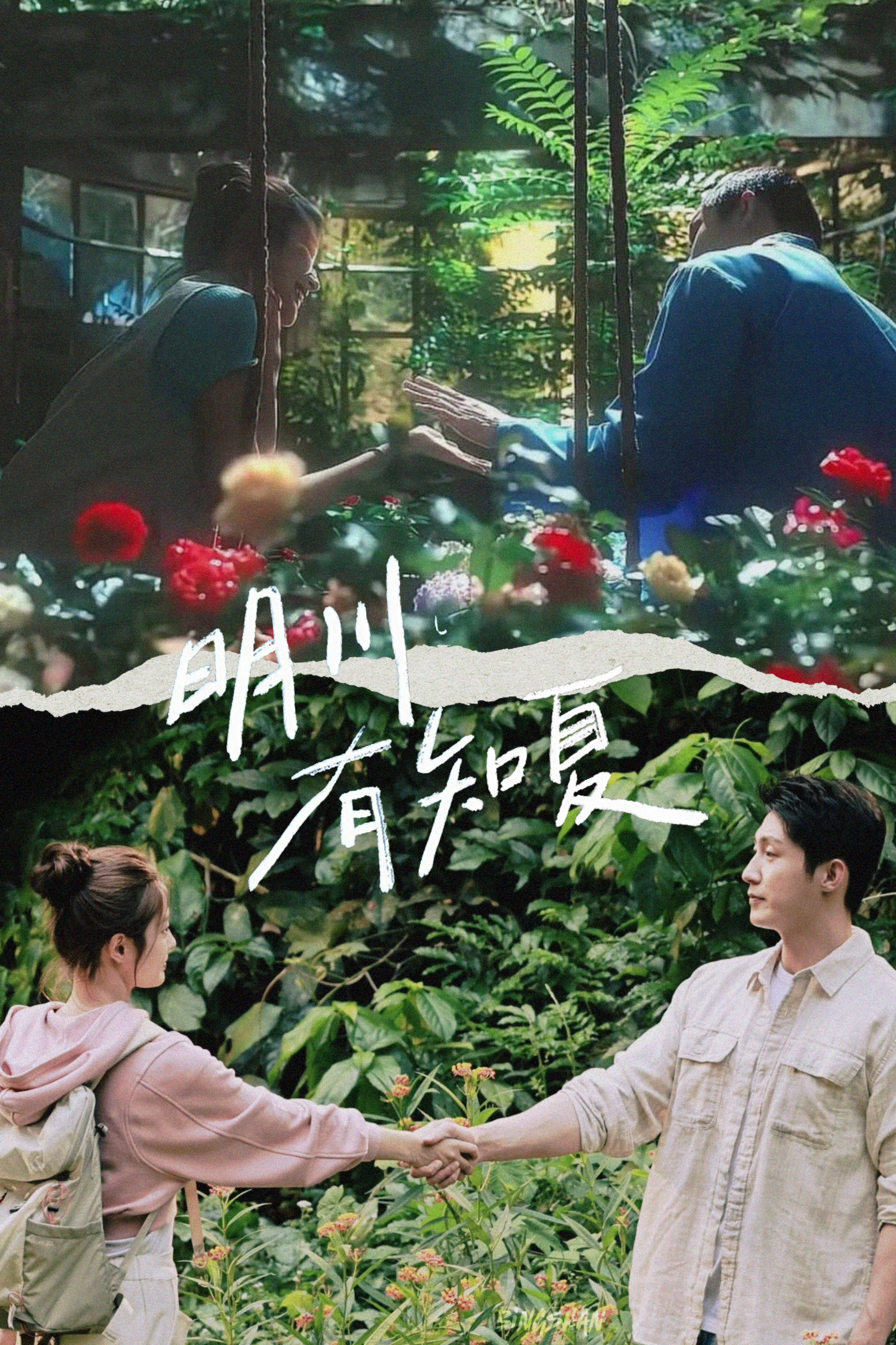 今日《明川有知夏》双人路透的灵感做个拼图满春 v.s 厉夏从春色满园的花圃走到灿