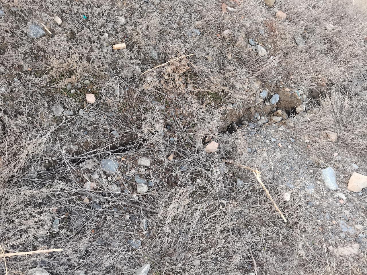 当豆包开始叫我“严老师”，我只好把它卸载了。当然在卸载之前还开了个玩笑:“不许叫