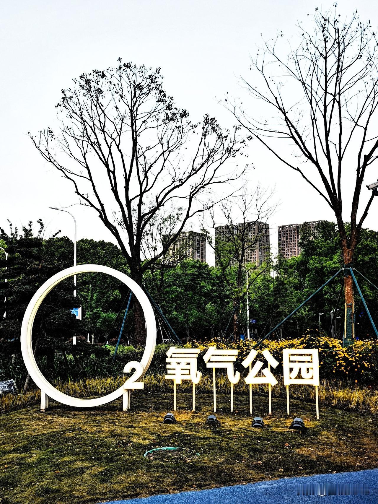 散步，是和一座城市慢慢的约会。

昨天傍晚从楼下的氧气公园出发，进行今天的散步行