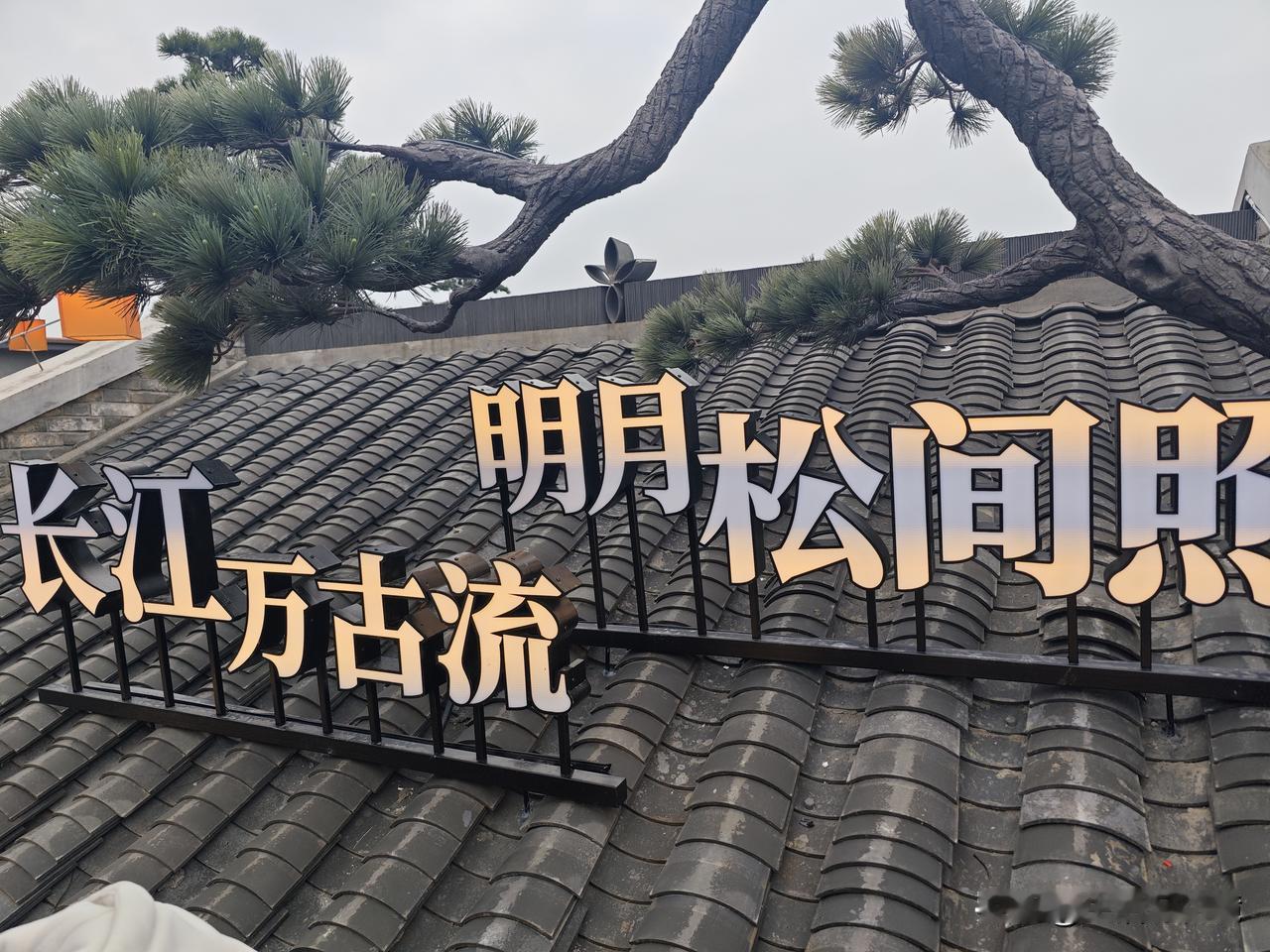 天南地北大拜年武昌斗级营长在屋顶上的松树，一棵接一棵，蔚为壮观！