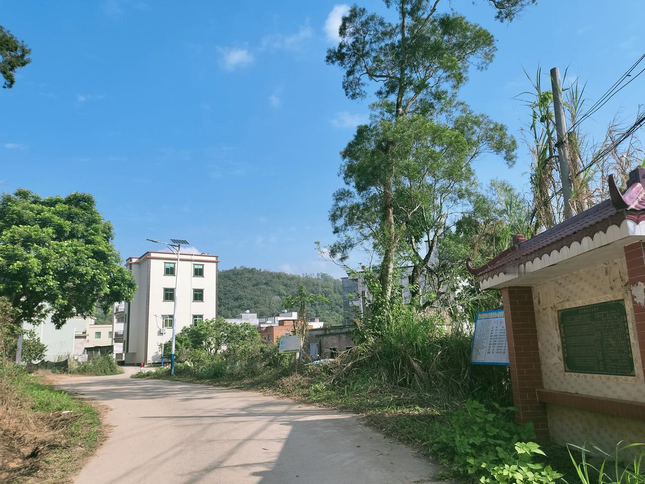 这路的影子，比城里的人声还长。
 
柏油路顺着坡弯过去，树影在路面织出碎纹，风裹