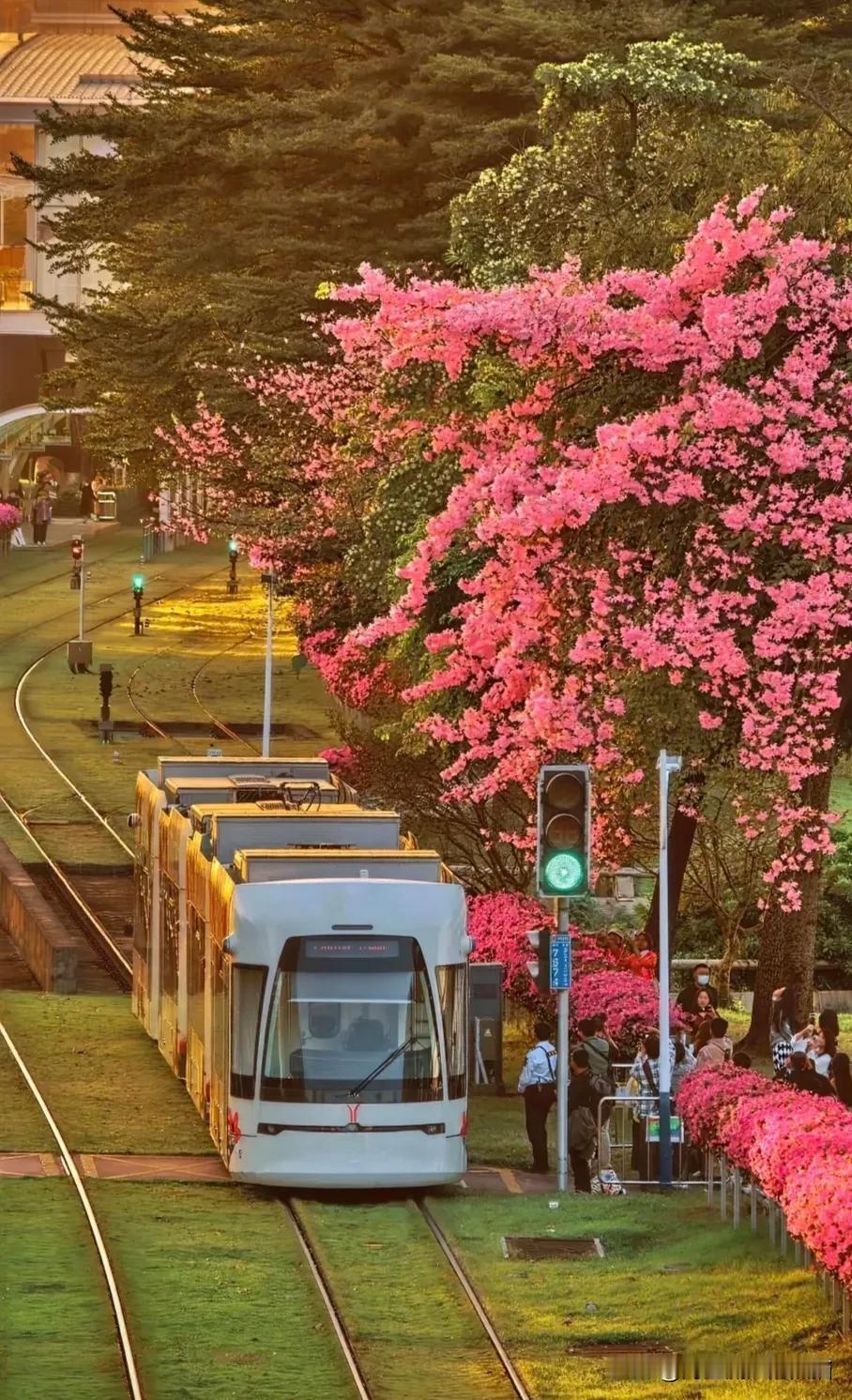 我最喜欢在广州地铁APM线沿江风景园拍的一张照片。那是个傍晚，夕阳洒在江面上，波