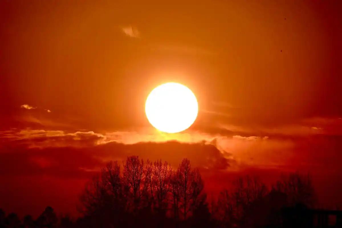 今年春天最想实现的心愿 今年春天，我最想实现的心愿就是去看一场海边的日出。想象一