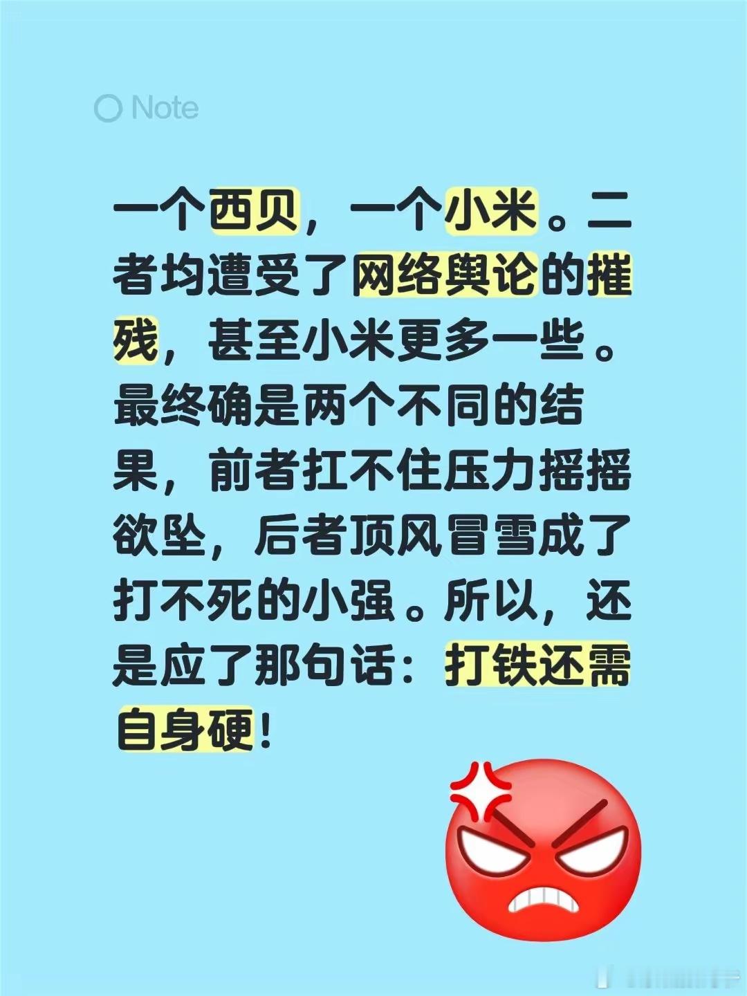 一个西贝，一个小米。二者均遭受了网络舆论的摧残，甚至小米更多一些。最终确是两个不
