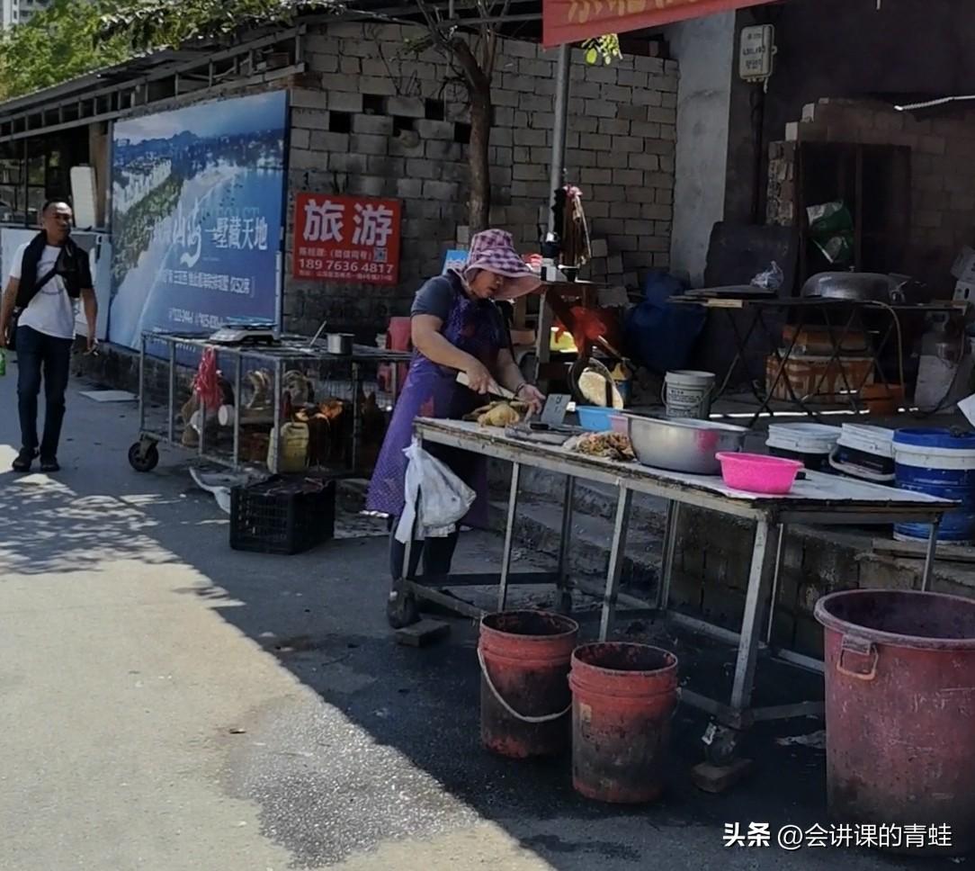 从一只鸭子说起，看看海南人的为人做事。都说海南鸭子好吃，前几天去九所镇老街买了一