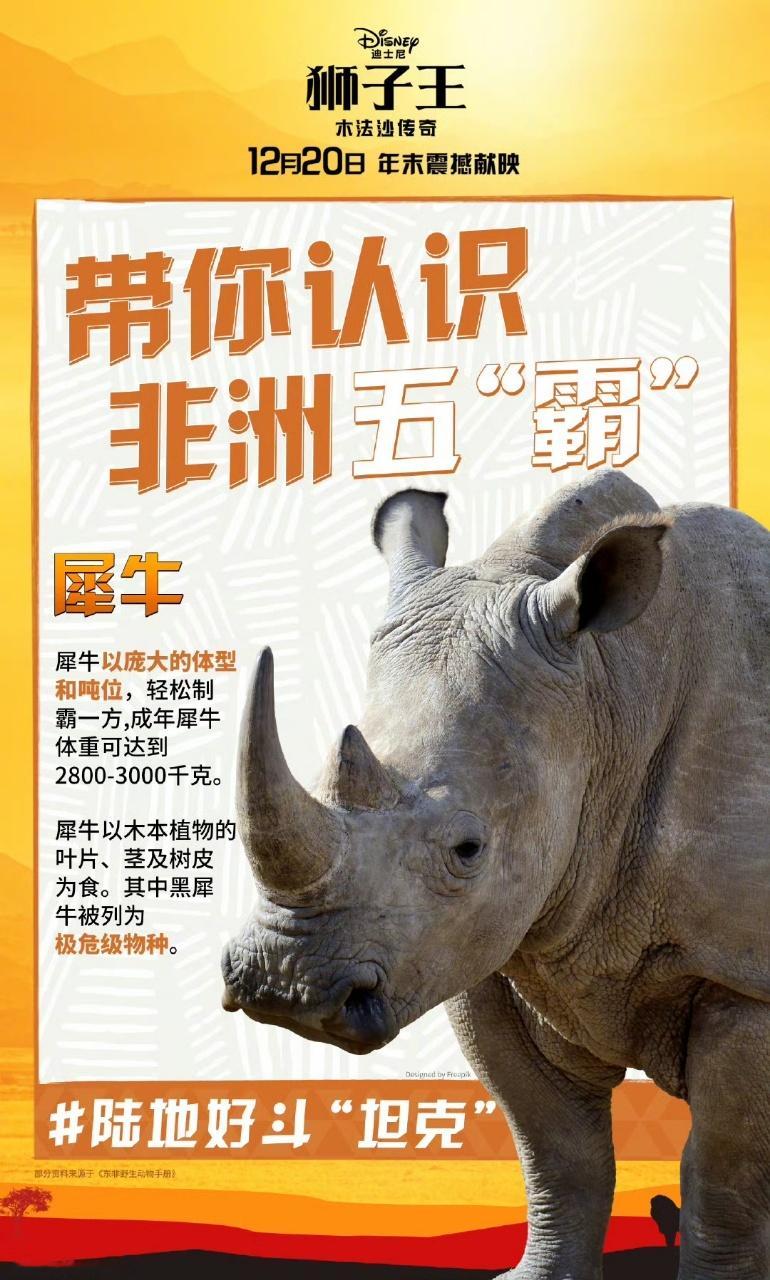 谁才是非洲之王  电影《狮子王：木法沙传奇》带我们走进非洲大草原，解锁非洲五“霸