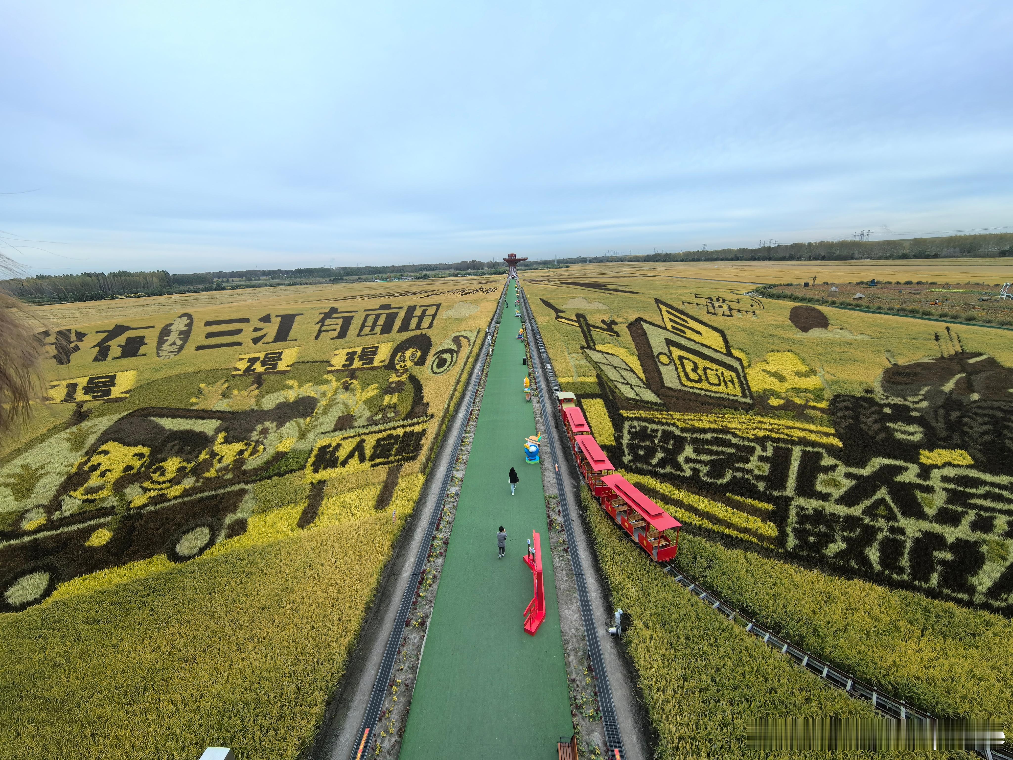 今天早上起来，感觉好冷啊哈尔滨下过一场秋雨之后 1度- 10度你们所在的城市现在