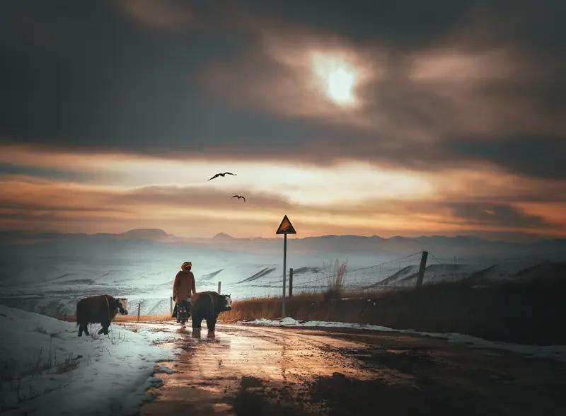 “有一种浪漫叫诗和远方，有一种思念叫心之所向”，这话着实精妙。恰似李清照于《一剪