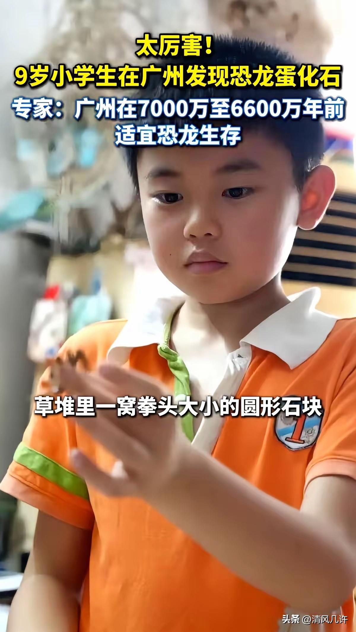 广州一个9岁男孩，赖宝嘉，让他妈彻底乱了阵脚。他从楼下绿化带里捧回来一窝“泥疙瘩