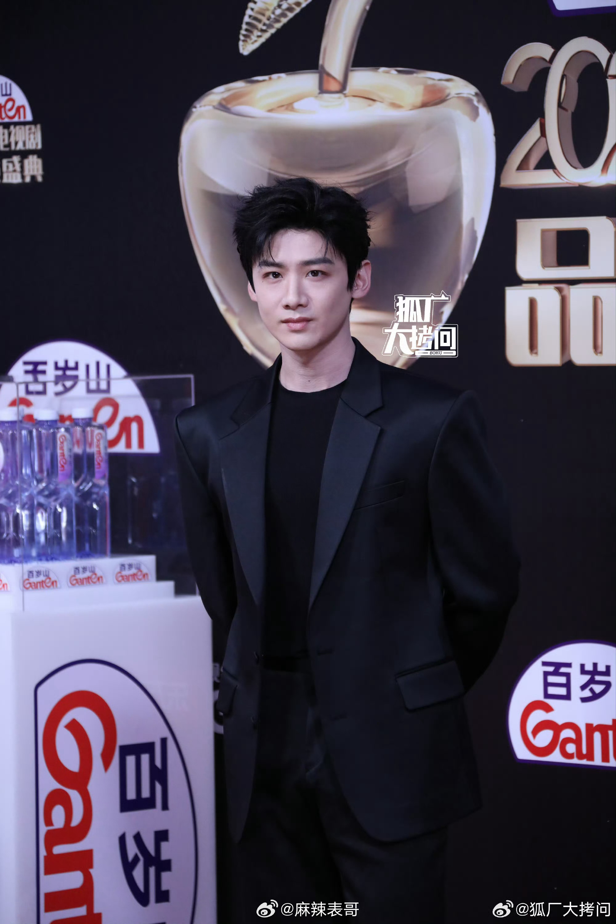 一起来看看男明星电视剧品质盛典红毯生图 