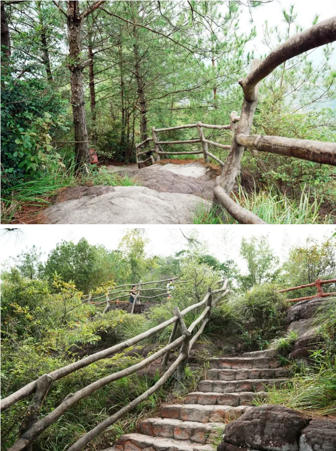 今日景区推荐|赣州·石城通天寨-山野轻徒步