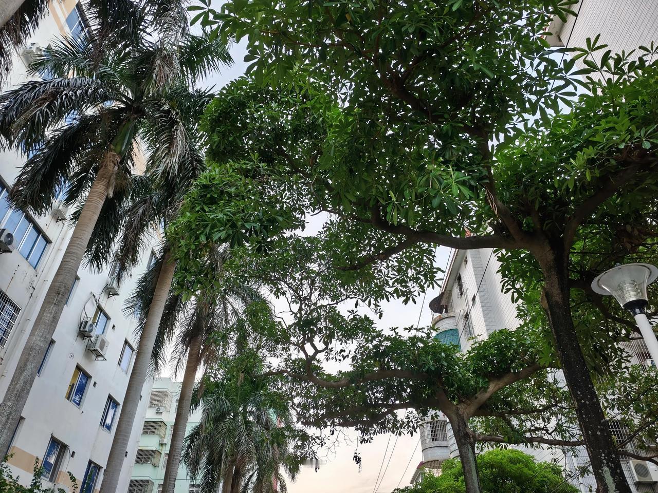 很扎心的一段话：
“你去教一个人只会带来仇恨，教他就是意味着要否定他。被人否定是