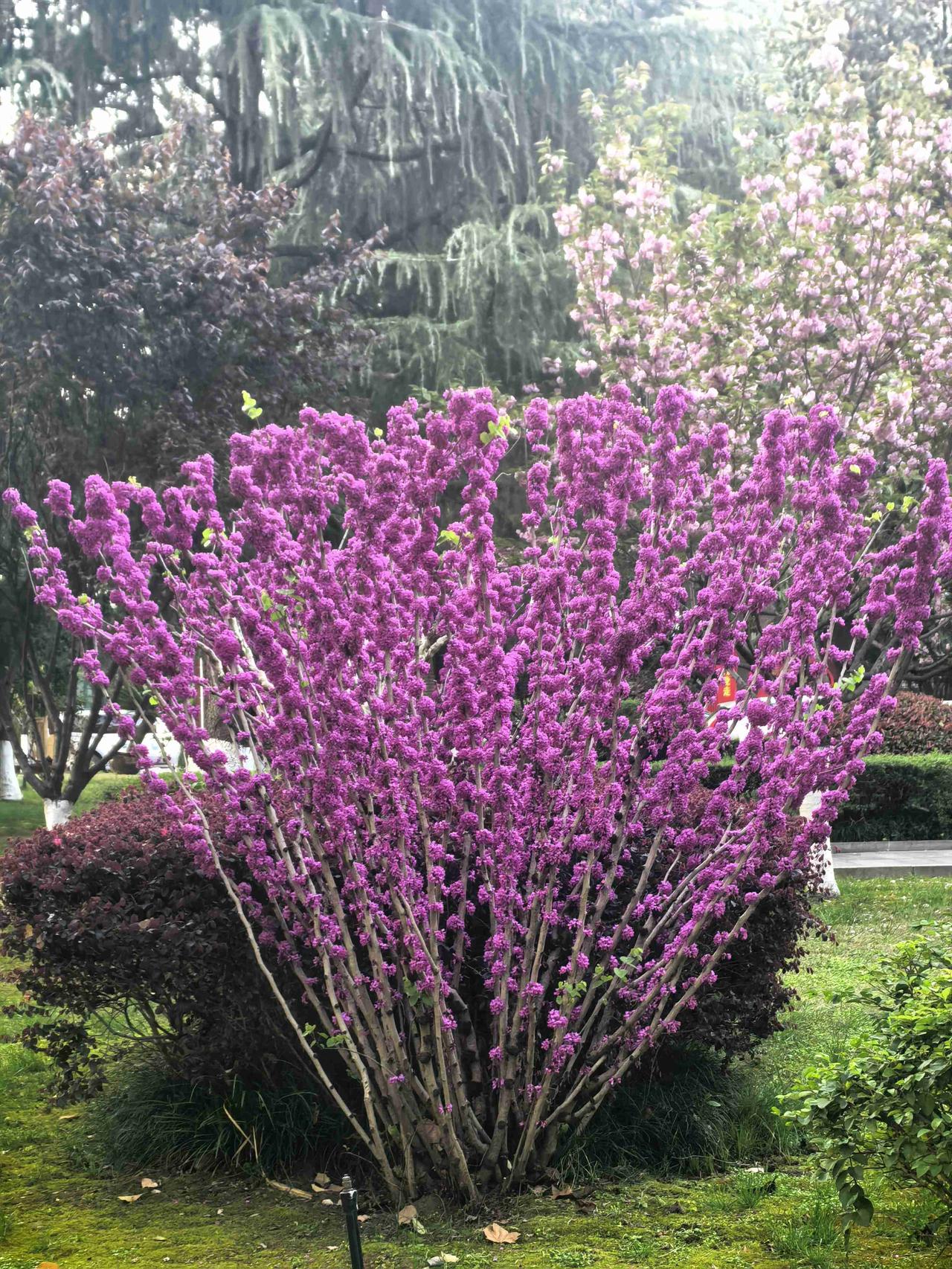 我的今日状态：😁轻松愉快
我这里的天气：☀️晴天
