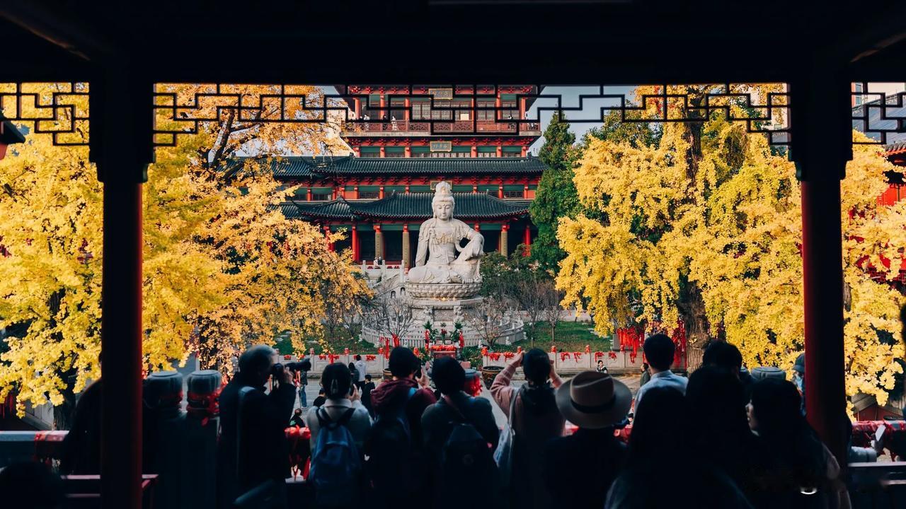 南京的秋景真美，人也是真的多。想着早起出来拍照应该会少点人，但是莫道君行早，更有