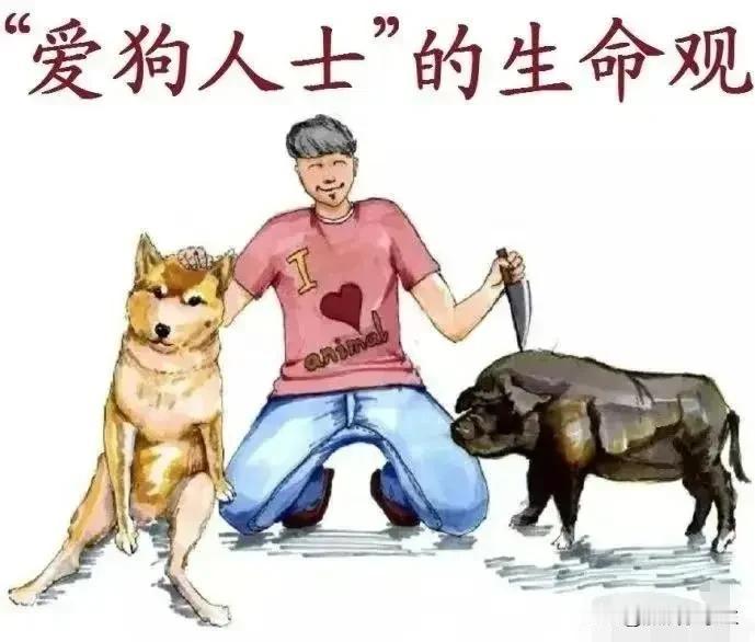 有些狗主人真是无语透了，比娇惯孩子还惯狗。
昨天带孩子出去遛弯，路遇一个年轻人遛