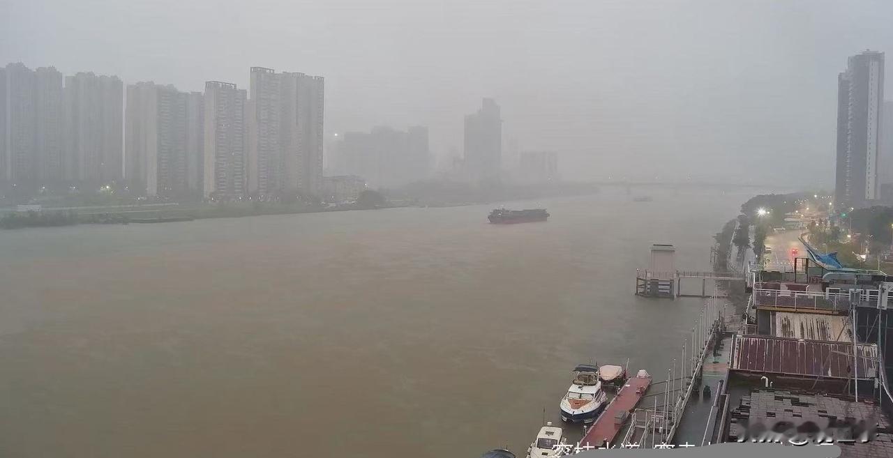 雾锁珠江