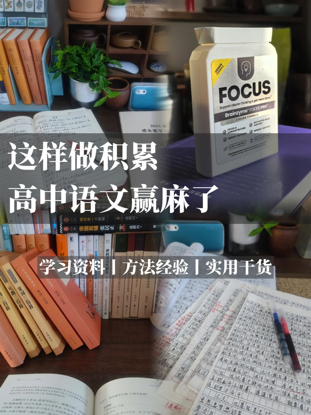 这样做积累，高中语文赢麻了💯