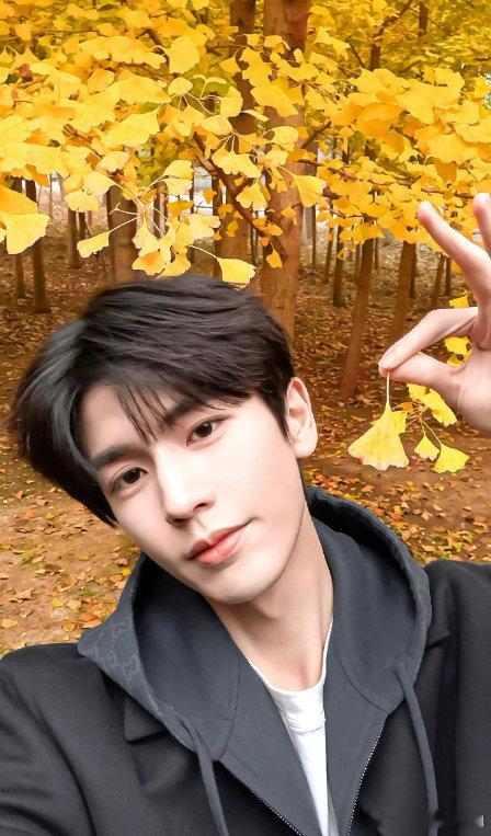 张凌赫湖南卫视考古张凌赫 湖南卫视是张凌赫成长的见证者吧！连发 20 条考古微博