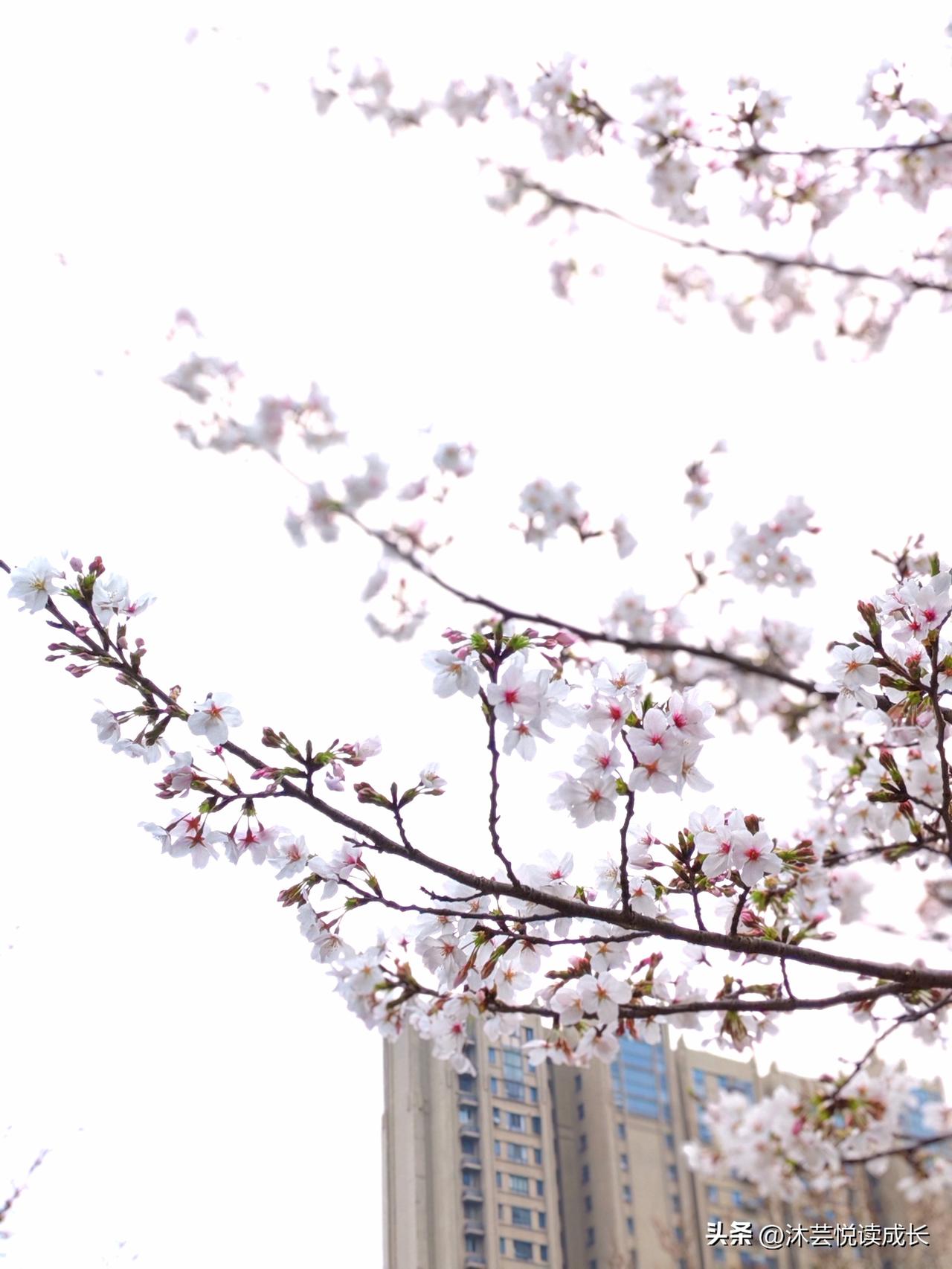 我常觉得，有些话不用多说，可偏偏一句，就能戳中人心底最柔软的地方。
 
那天，表