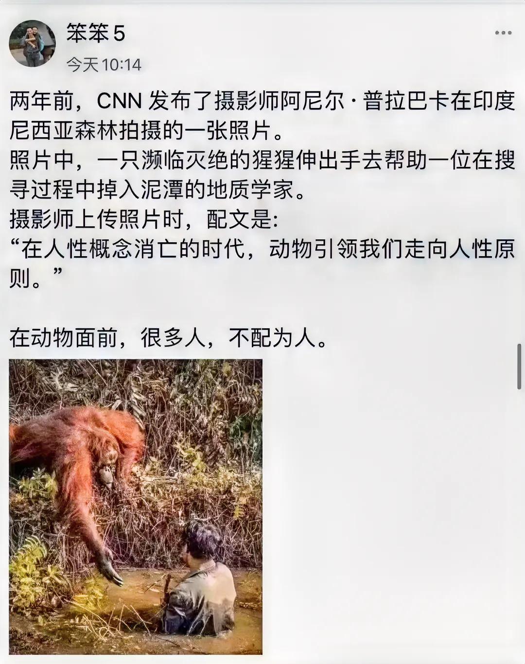 震撼🫨在动物面前，很多人不配当人…