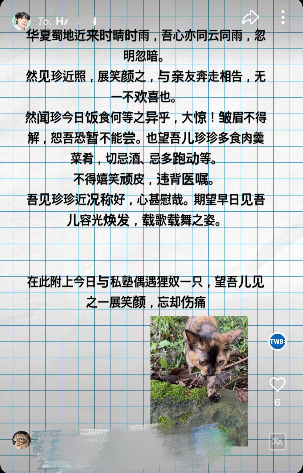 韩振本人来了都要中译中的程度啊啊啊啊🙉“饭吞三碗，脚自痊愈”“速寄相片来，以解